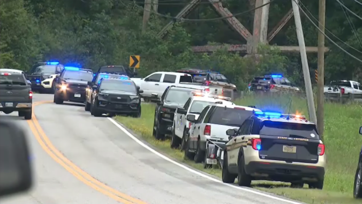 Police cars at crash scene