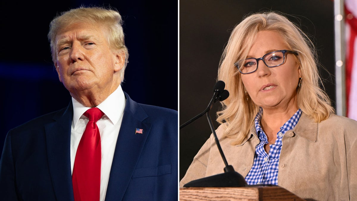 Donald Trump, Liz Cheney, split