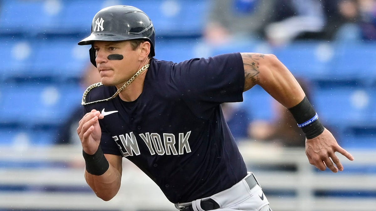 Yankees minor leaguer Derek Dietrich, four others suspended for