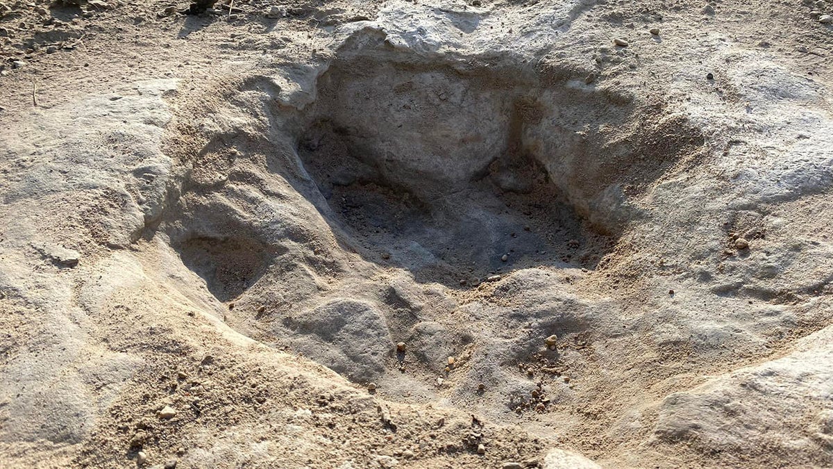 footprint of a dinosaur