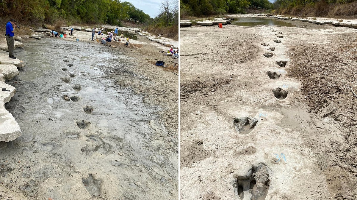 dinosaur tracks in riverbed