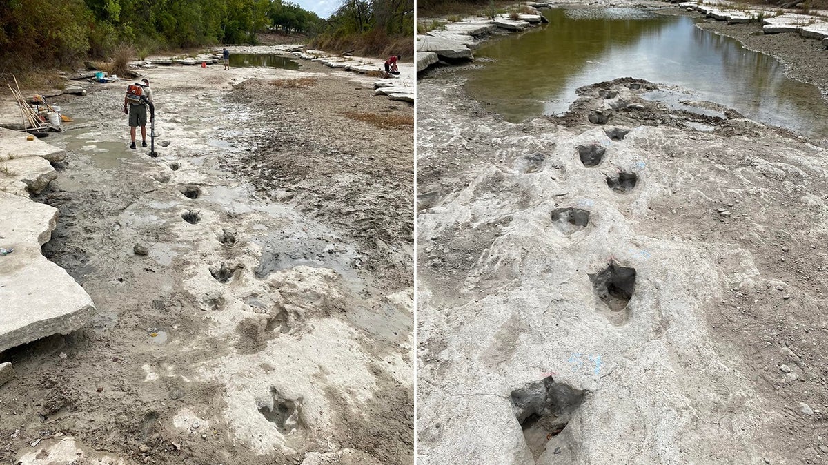 unearthed dinosaur tracks