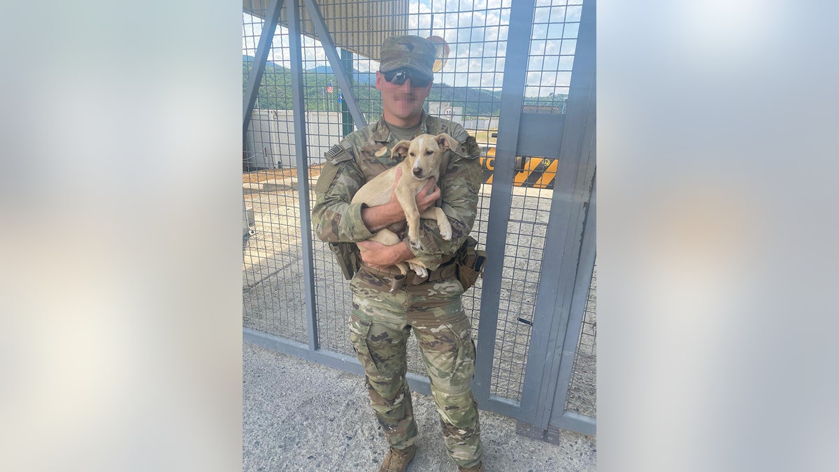 army soldier howe and puppy