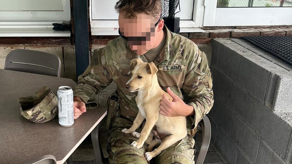 puppy doc and army soldier