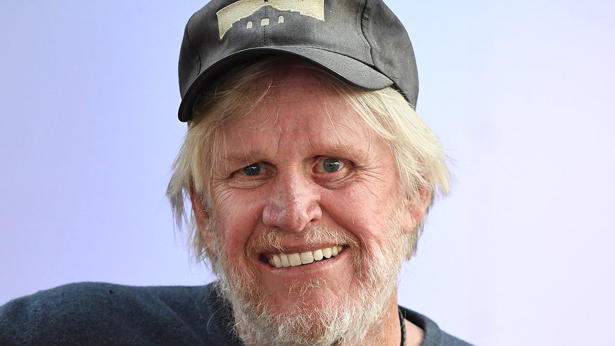 Gary Busey