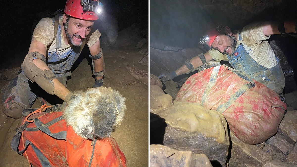 Rescuers move dog through cave