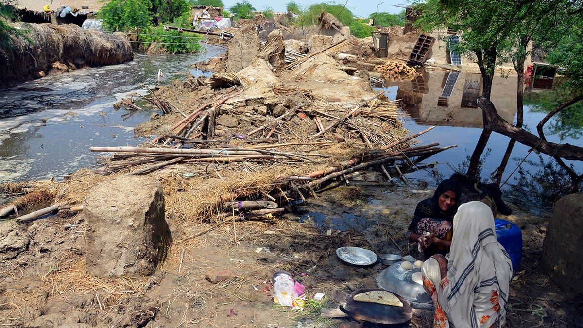 Destroyed buildings and buildiing materials