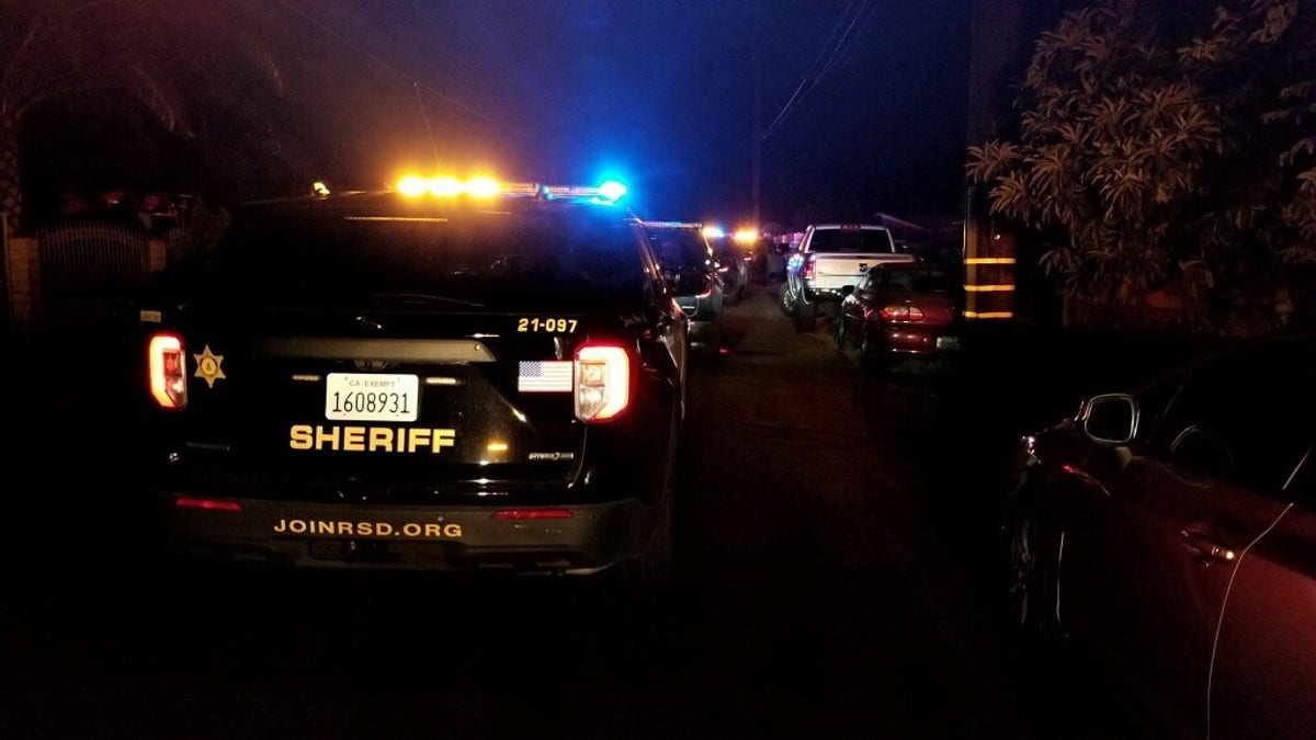 Riverside police cars line up on a street at night