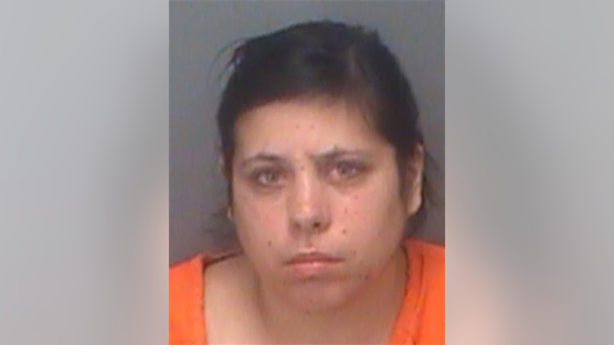 The mugshot of Ashley Richards