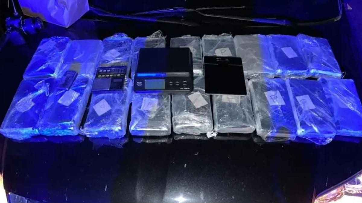 Bricks of cocaine and scales seized by police