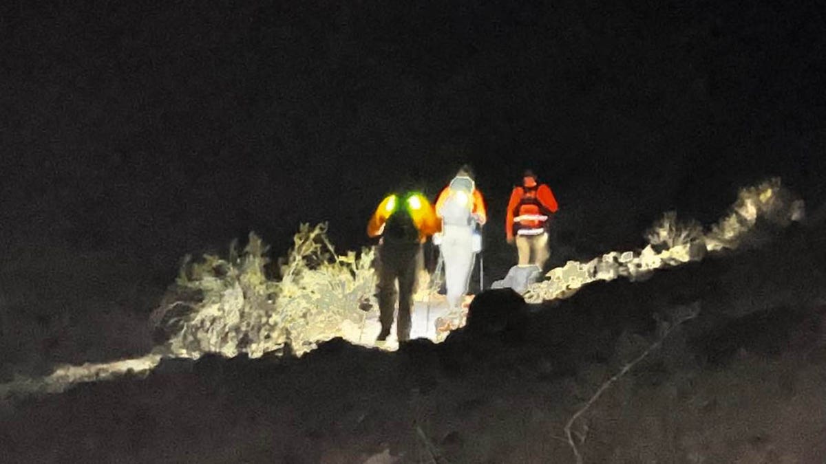 Sara Park rescuers walking trail at night