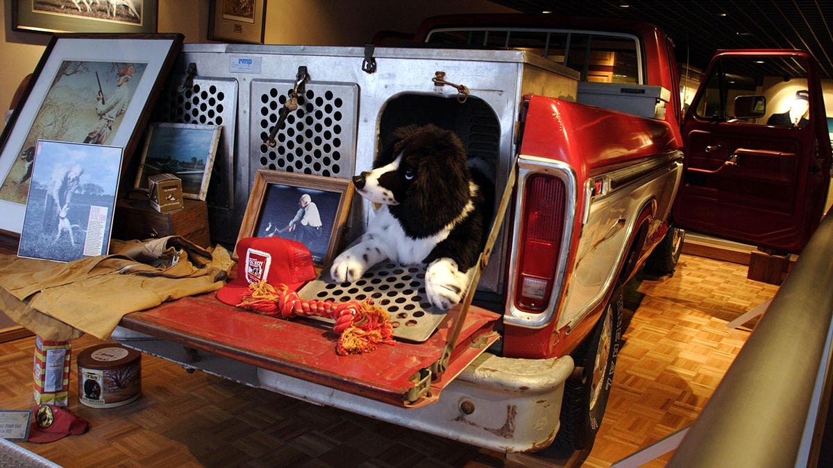 Jay Leno recreated Sam Walton s 1979 Ford pickup with an electric F 150 Lightning Fox News