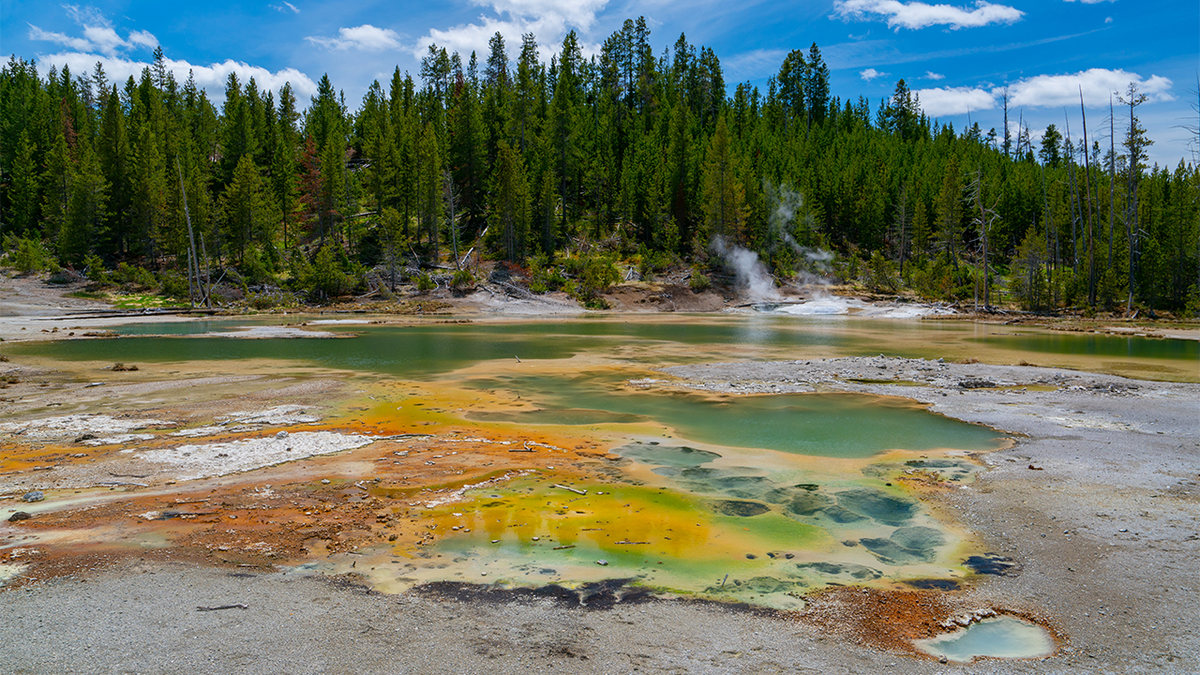 Foot found floating in Yellowstone spring belonged to L.A. man