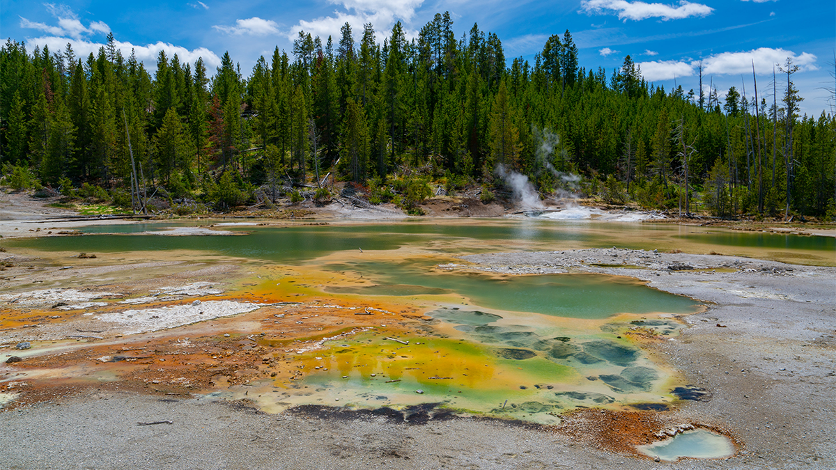 Yellowstone hot spring