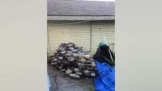 New York brothers allegedly trafficked catalytic converters, stripped the precious metals and made millions