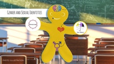 California district curriculum claims there's 10 sexual orientations, including skoliosexual and gynesexual