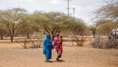 US buying Ukraine grain shipments for African regions on brink of starvation, UN says