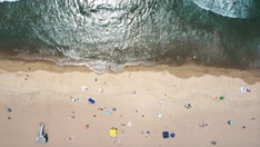 Shark sightings plague beaches nationwide over the weekend