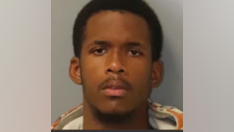 Florida K-9 captures burglary suspect after deputies locate stolen pickup truck