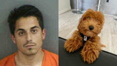 Florida man arrested after allegedly beating dog named 'Buzz Lightyear' to death: Police
