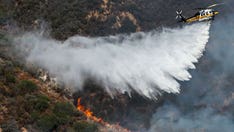 Forest fire northeast of Los Angeles contained by 20%