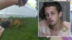 Florida K-9 takes down suspected car thief during chase: ‘Get him off, please!’