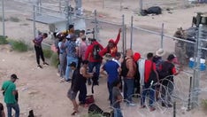 MSNBC professor: Those who support busing illegal immigrants to NYC are 'racists,' like segregationists