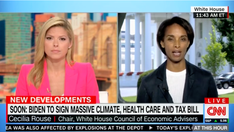 CNN host presses Biden econ adviser over Inflation Reduction Act: ‘Could have named’ it something else