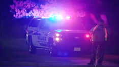 Six Flags Great America shooting: 3 injured in parking lot of Illinois amusement park