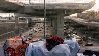 Los Angeles Mayor Karen Bass, council unite on city's rampant homeless problem: 'new direction'
