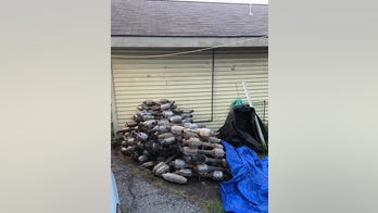 New York brothers allegedly trafficked catalytic converters, stripped the precious metals and made millions