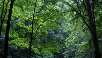 Kentucky's Mammoth Cave National Park to start improvements on underground trail in fall
