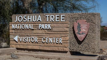 California's iconic Joshua Tree National Park reopens roadways after flood
