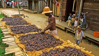 Vanilla is anything but ordinary: Here are 5 unexpected products that contain this spice