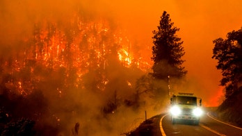 California Forest Service employee killed in McKinney Fire