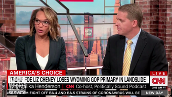 CNN analyst: Liz Cheney's political party 'is the Beltway media'