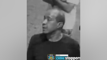 NYC sucker punch suspect arrested in brutal caught-on-video knockout is a convicted sex offender: report