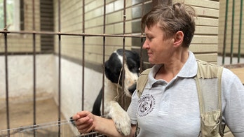 Ukraine’s tiger queen: Saving wild animals in a war zone