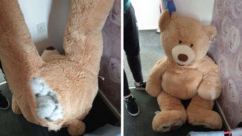 UK teen car thief caught hiding in giant stuffed teddy bear: Police