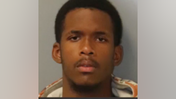 Florida K-9 captures burglary suspect after deputies locate stolen pickup truck