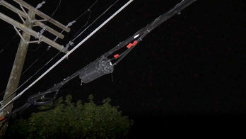 Live wire kills teen following storms, massive Michigan power outages