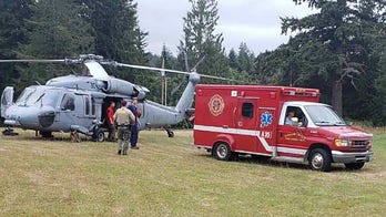 Pilot dies after small plane crashes in Washington state forest