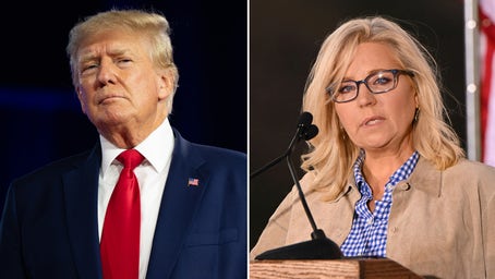 Strategists suggest it's 'highly doubtful' Liz Cheney could win the White House in 2024