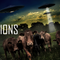 Cattle mutilations stump law enforcement, ranchers: ‘The greatest unsolved serial crime spree in history’