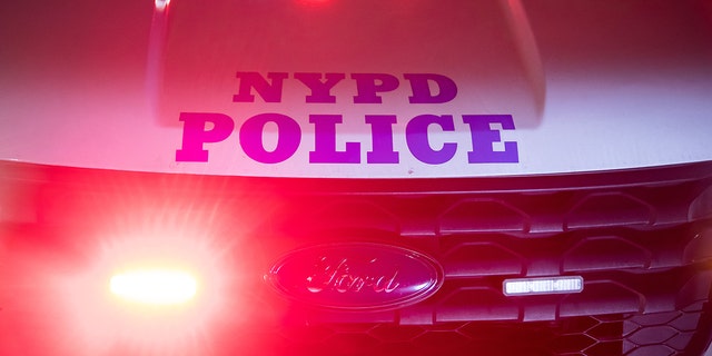 New York Police told the New York Post a woman's boyfriend didn't realize she was trying to get into his vehicle when she fell, was fatally struck by another SUV.