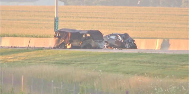 Five children were among seven people killed in a horrific head-on crash in Illinois.