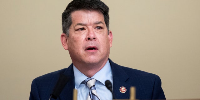 FILE PHOTO: Rep. TJ Cox, D-Calif., appears during a US House Natural Resources Committee hearing on Capitol Hill in Washington, US, July 28, 2020.