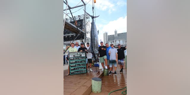 Bill Britt, a fisherman from Sandy Spring, Maryland, poses with his crew around the blue marlin that earned him first place at the 2022 White Marlin Open. His catch weighed 511 pounds and earned him $1.2 million.