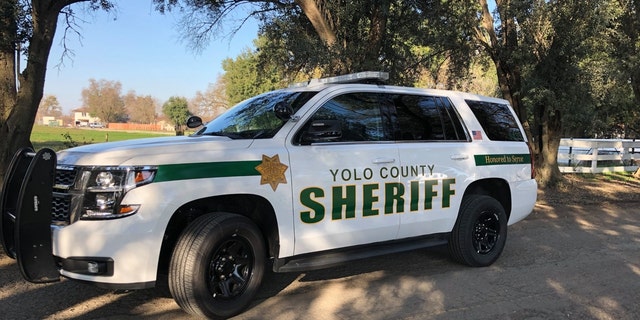 A new study comparing Yolo County, California offenders who posted bail with those were let out under 
