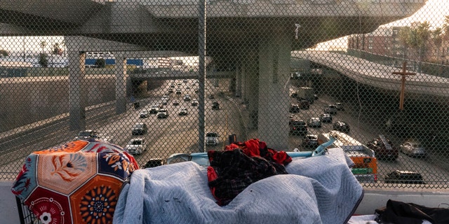 A homeless encampment is seen on a bridge over the Interstate 110 freeway in Los Angeles.  City leaders approved a state of homeless emergency on Tuesday. 